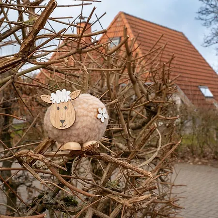 Küstenkind Sieltrift 21-14 * Dorumer Neufeld
